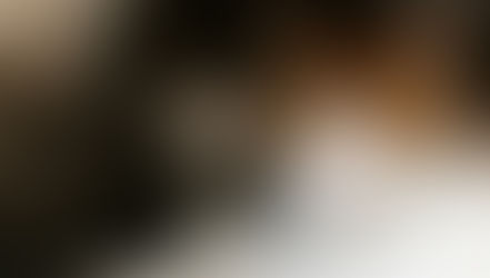 2025年12月はペットフードロスを「約80トン」削減しました！