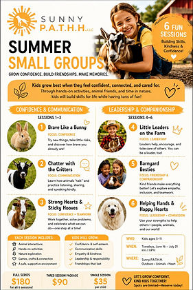 new-small-summer-groups-flyer_edited.jpg