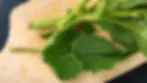Nettle Leaf