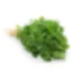 Fenugreek Seed
