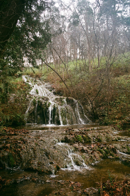 Waterfalls in Virginia