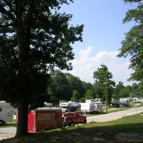 Riverside Estates site and tree views