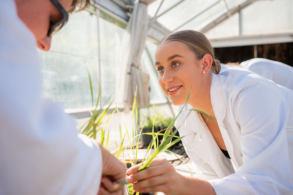 video production perth