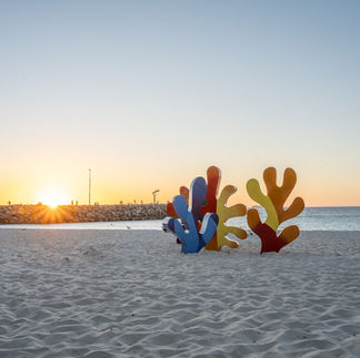 Photographers in Perth Australia​