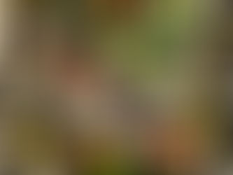 Musicians. Letterpress card print. Ian Woods.