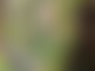 Anime background. Vince Woods. 2021.