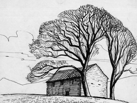 Barn and tree - pen and ink. Bill Woods