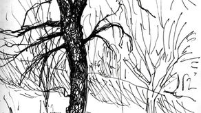 Trees.