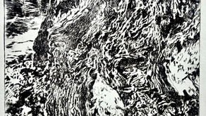 PAPERBARK. Drypoint engraving. May 2023.