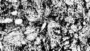 SKIMMED ROOTS. Drypoint printed with handmade earth pigment ink. May 2023. Roots exposed by mower.