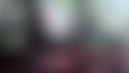 Laid hedge. Westridge, Wotton. Acrylic.