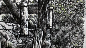 Garden apple tree. Charcoal, pen and Indian ink, process white,coloured pencil. Sept. 2020.