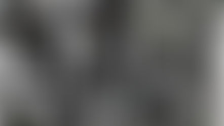 Garden apple tree. Charcoal, pen and Indian ink, process white,coloured pencil. Sept. 2020.