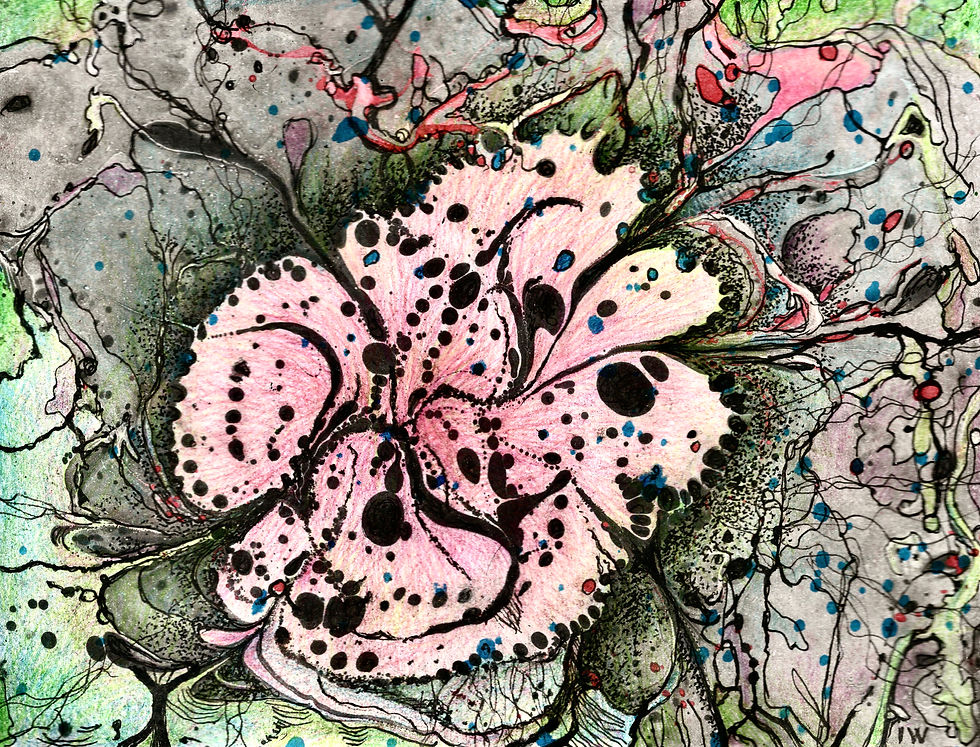 FLORESCENCE