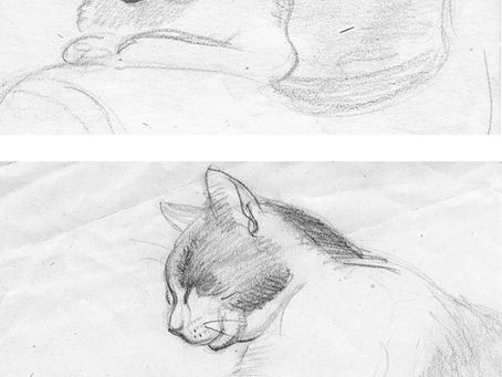 Piper, my cat. Pencil. Bill Woods.1950s.