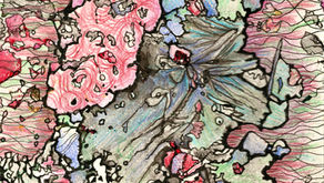 MARBLING DEVELOPMENT. Jan. 2025.