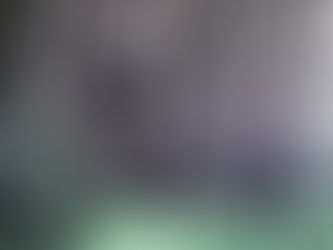 Tortworth chestnut. Acrylic. 2013.