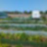 7295861C-CD09-4926-9A1D-EDEA903F8EBF_edited.jpg