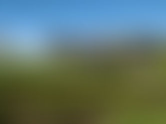 Experten- und Wissensaustausch für die Gründung