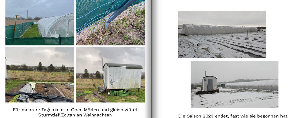 Sturmschäden Ende des Jahres Ober-Mörlen Acker SoLaWi Treibgut