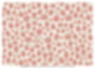 Papel de regalo Tassotti "Regalos"