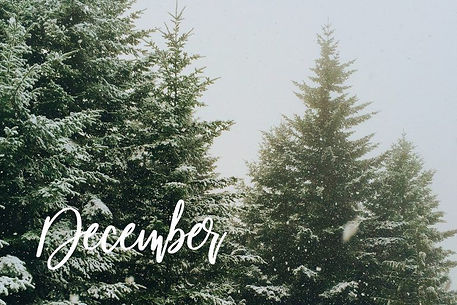 decembernews.jpeg