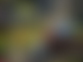 THE SACRED RHYTHM OF LIFE