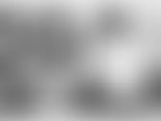 לזכרו של האמרגן אשר ראובני: קצת מהמוזיקה של "האחים ראובני" האגדית