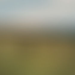 ืขื ืืืืืคื ืื ืืื ืืืืื ืฉื ืืจืืืื ื ืกืืื ืก, ืืืื ืช ืกืืจื ืขืืืคืืืืช, ืจืขืืื ืืฉืื ืื ืืืืื ืื ืฉื ืืจืฉืช ืืขืื ืืืจืื ืืืืืืืืจ ืืฉืืืขื 8-15.2.2026