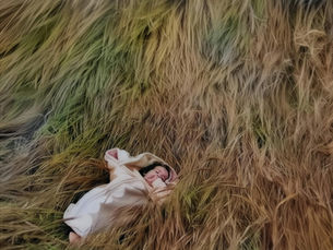 המיוזלטר של 6-13.3.2026