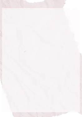 5.webp