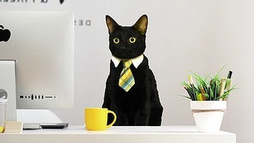 איך אפשר להתמודד עם סינדרום המתחזה?