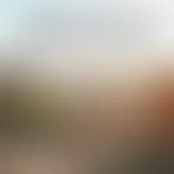 ההיסטוריה של פסטיבל קואצ'לה שהתקיים החודש- מפסטיבל אינדי לפסטיבל לעשירים בלבד