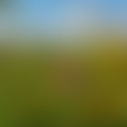 לא נעימה. זועמת. טור אישי כנה מרונית כפיר