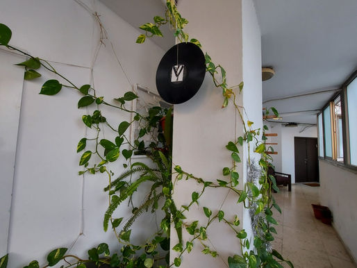 ניכוש המיותר משפר את מה שנשאר