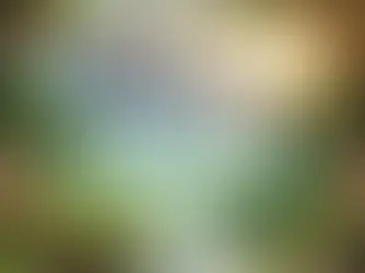 איך להתכוונן לשנה חדשה
