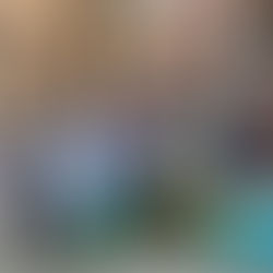 Hudson Montessori School Holds Another Successful Holiday Drive