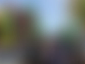 You’re Invited! Join us for Hudson Montessori’s 2026 Social Studies Fair