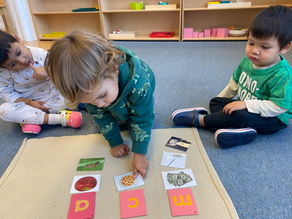 Montessori in a Minute: Sound Baskets