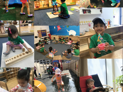 Everything You Need to Know About Toddler and Bridge Summer Camp