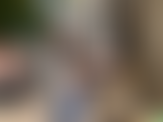 Teacher Insight Series: Meet Fumi Kaido-Eck