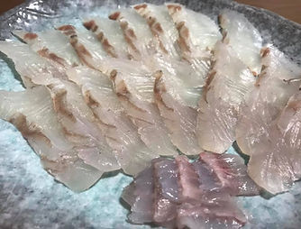 54462329_2160249184068380_16218701072758