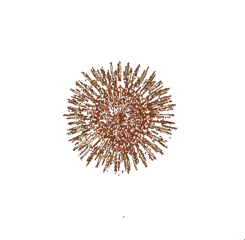 Fireworks 3.gif
