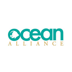 Ocean Alliance Logo