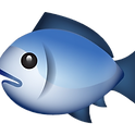 Go Fish_edited.png