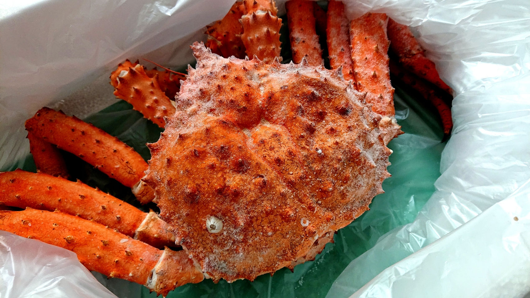 羅臼産イバラガニ