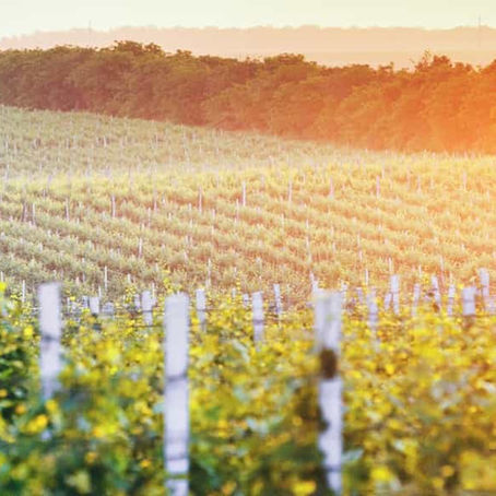 Onbekend maakt onbemind: Moldavië