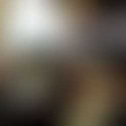 Rencontre de Quartier de Doulon-Bottière