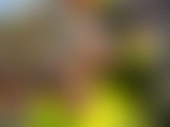 YOU’RE going to run a marathon?
You can’t even walk.