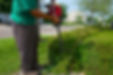 Shrub-Trimming.jpg